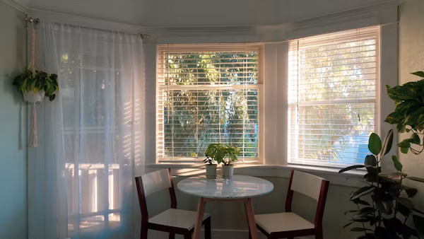 Window Shades