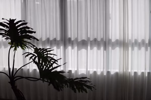 Blind Services