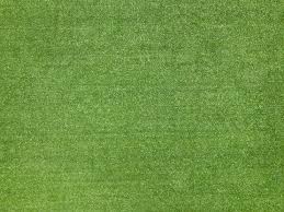 Turf