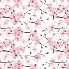 Blossom